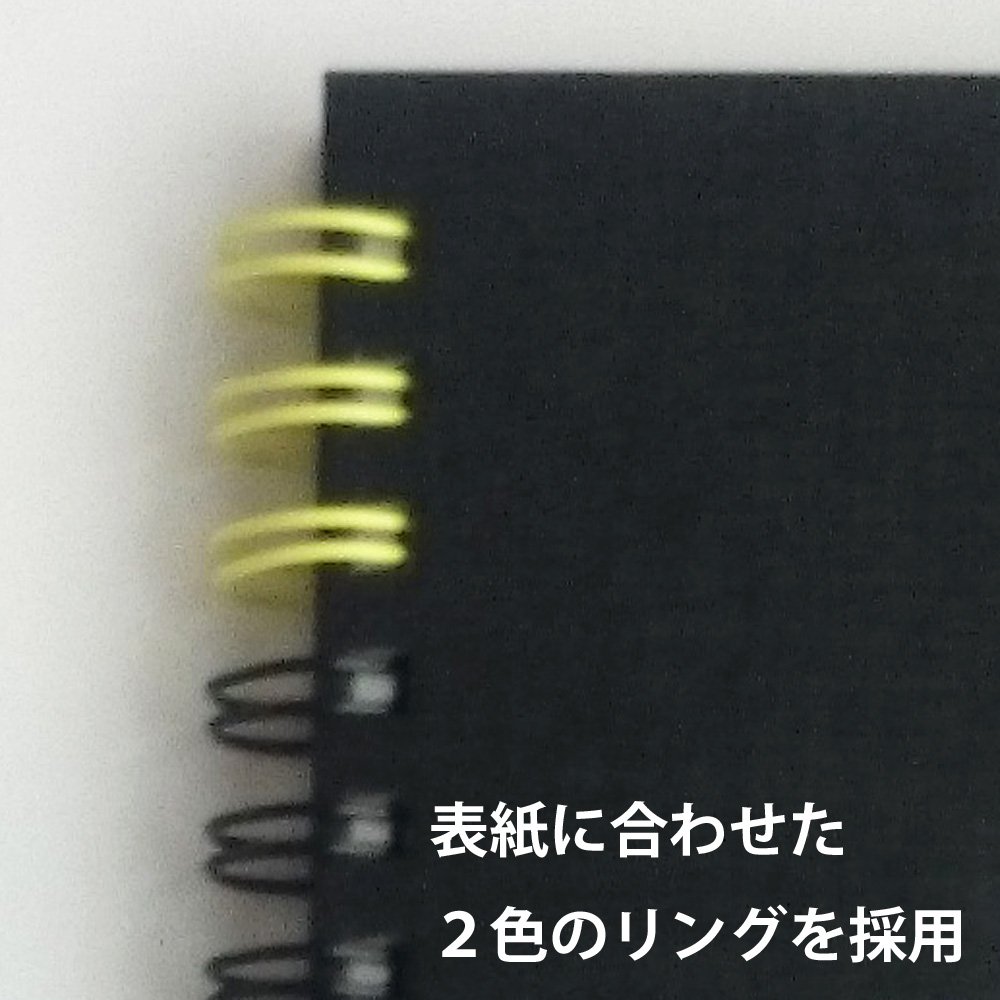 Maruman Art Spiral Sketchbook, F2, 7.76" x 10.24", Drawing Pad with 24 Sheets of Acid-Free Thick Paper, Twin Wire Binding, Durable Black Cover, Artist Notebook for Sketching, Made in Japan - Image 5