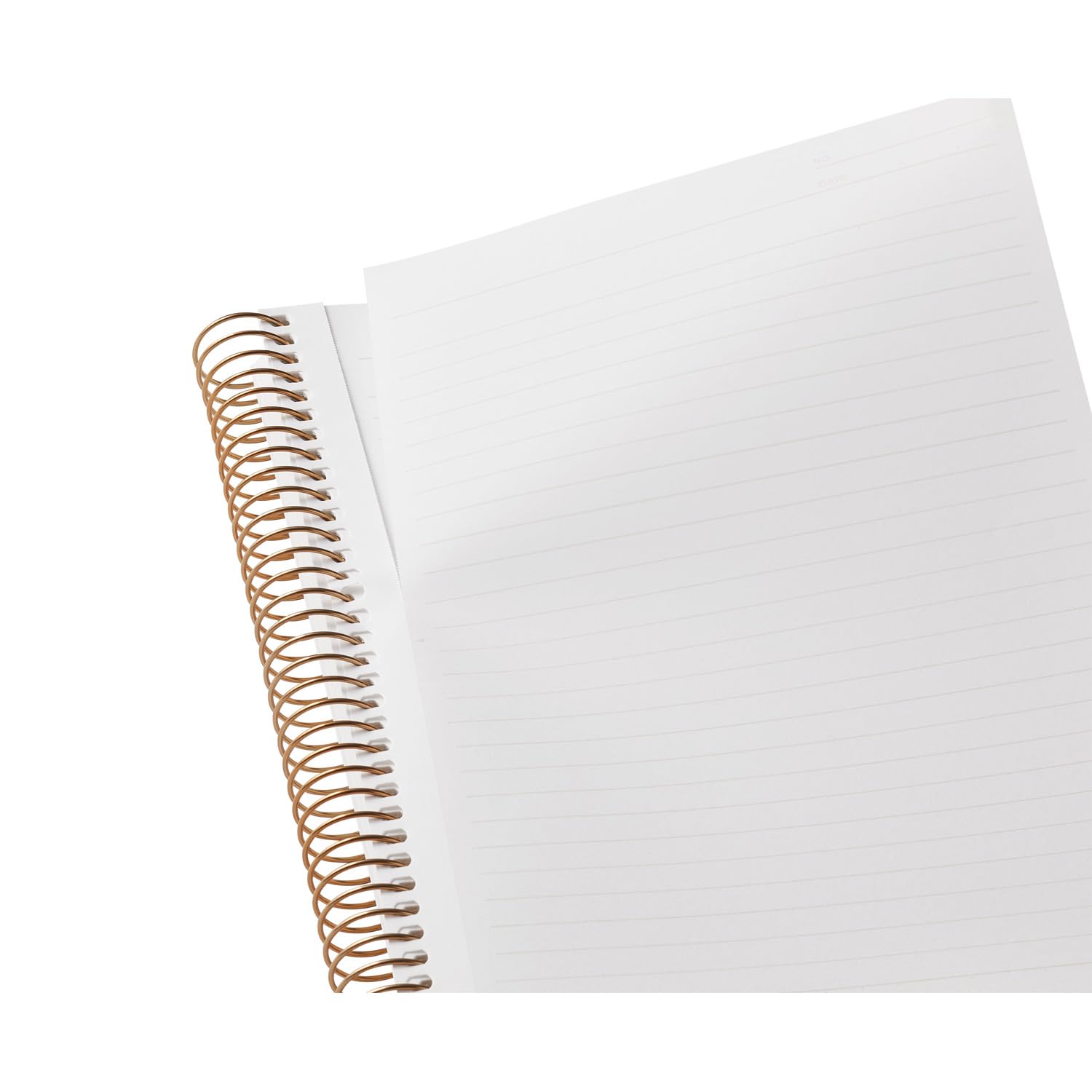 Maruman Spiral Note Basic Lined Notebook- A5, 8.31" x 6.26", 150 Sheets / 300 Pages, 6.5mm Narrow Ruled Journal, Perforated Pages & Wire-Bound to Lay Flat, Sturdy Black Kraft Cover, Made in Japan - Image 5